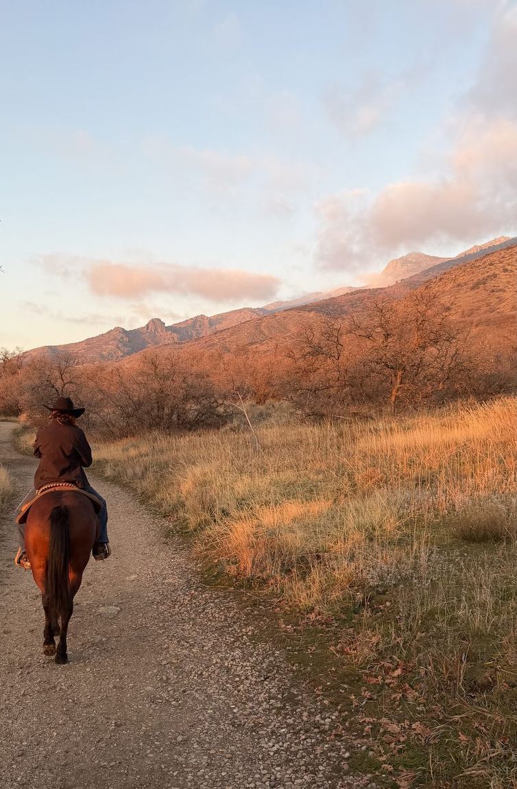Horse ears framing an open trail.
