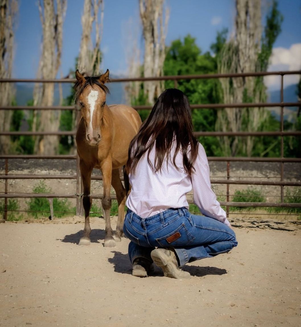 A saddled horse standing in morning light.