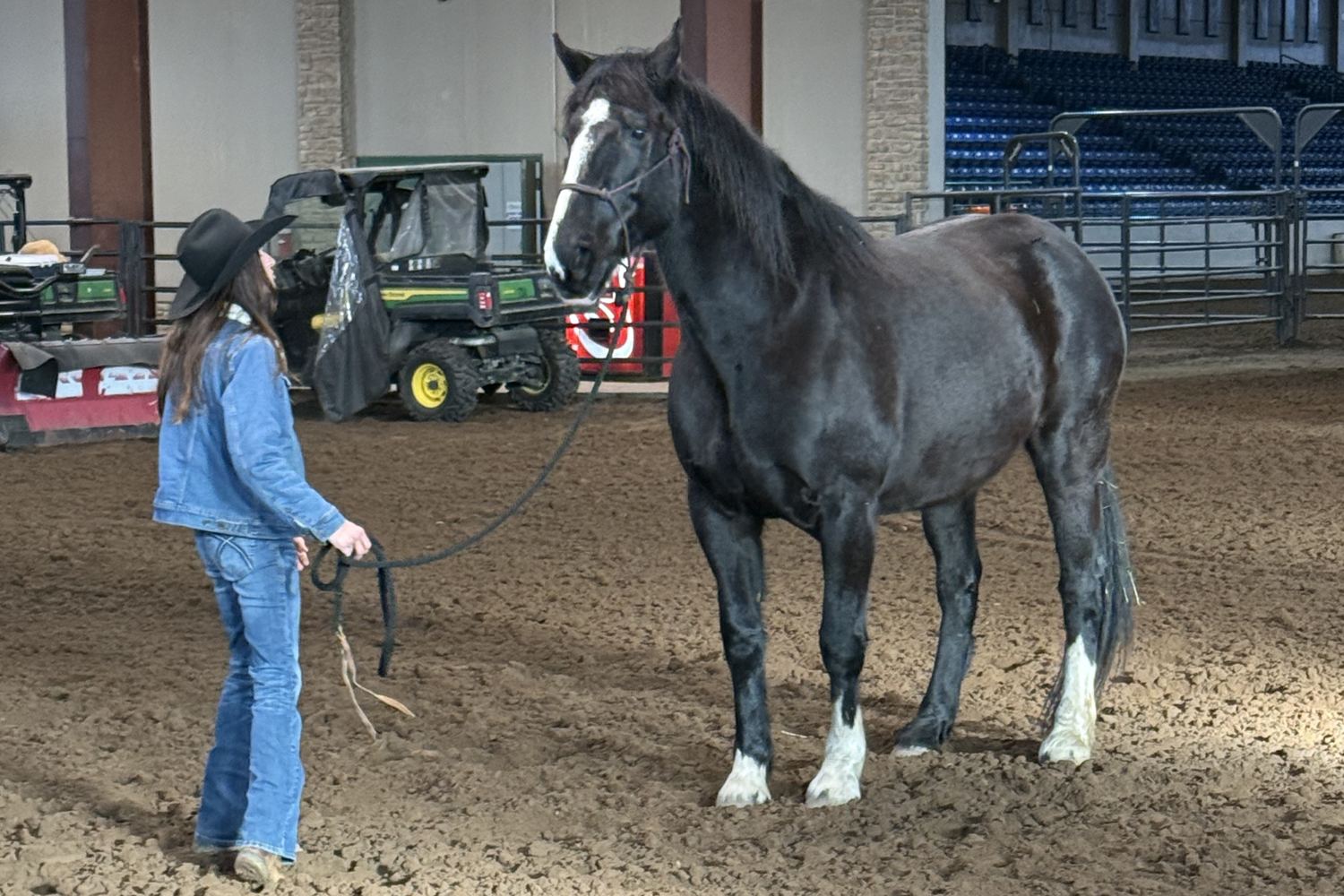 Jennifer standing with a draft horse on a loose lead rope in an arena.